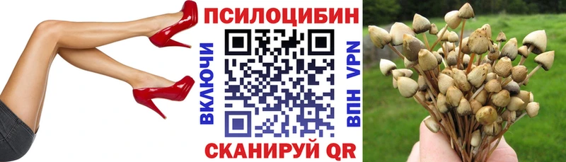 Псилоцибиновые грибы Psilocybe  закладки  Ермолино 
